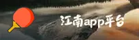 江南app官方正版官网 - 专业铸就辉煌