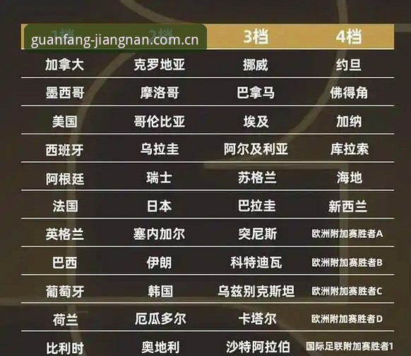 掌握世界杯观赛签证难题的实用指南：从江南app平台看中东球迷出行困境